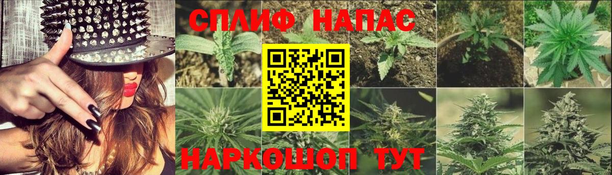 Каннабис Bruce Banner  Бошки Шишки Amnesia  Вход с VPN  Благодарный  МАРИХУАНА план  Бошки марихуана план 
